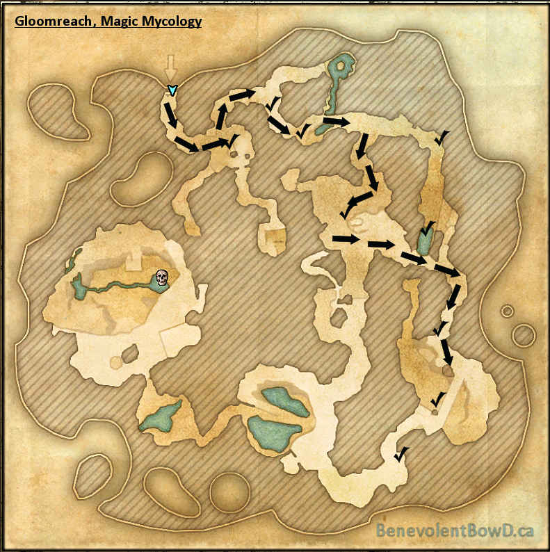 Map Gloomreach Magic Mycology